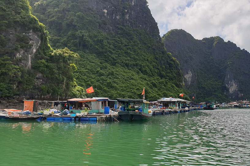 Fishing Villages in Halong Bay