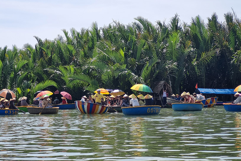 Explore the Bay Mau Coconut Forest by Basket Boat