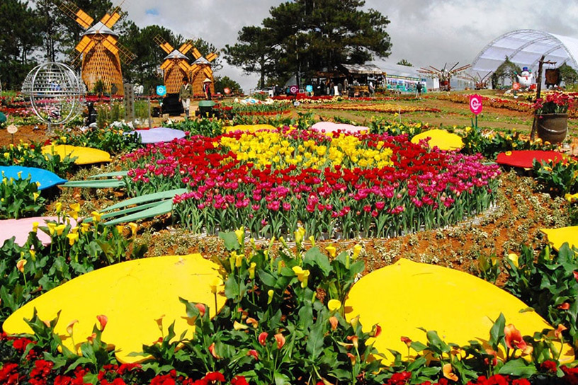 Da Lat City Flower Garden