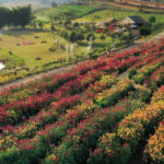 Attractions in Da Lat