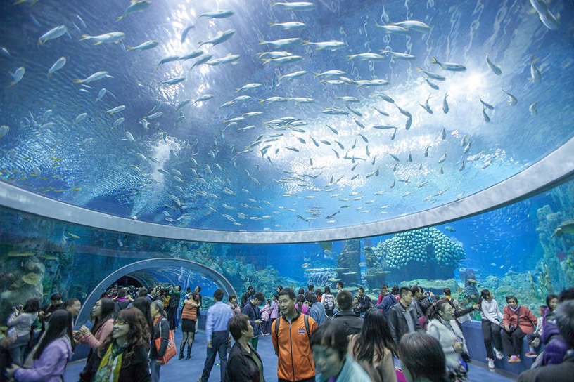 Nha Trang Oceanographic Institute