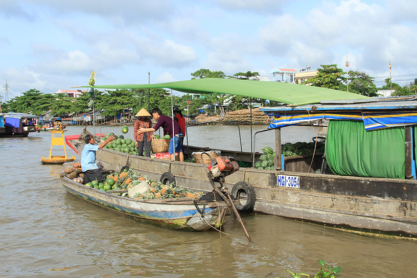 Mekong Delta